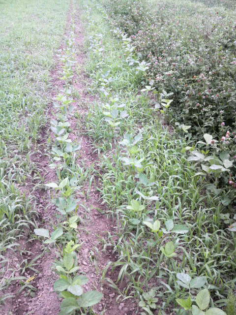 �哤(�R�ݗ�)3��B���̗񂾂��y�񂹂����{