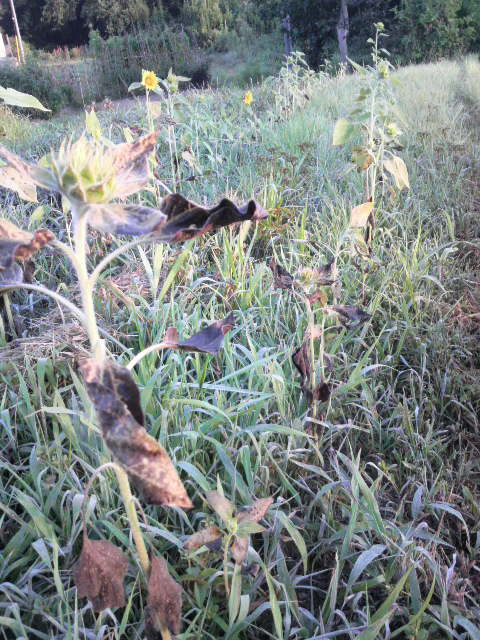 �q�}����