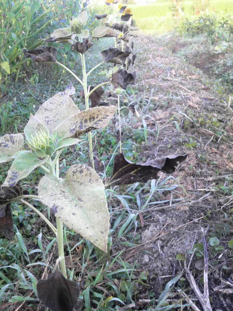 �q�}����