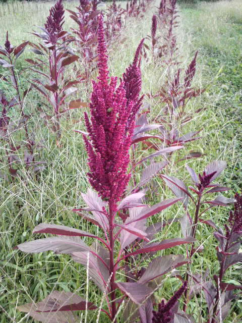 �A�}�����T�X