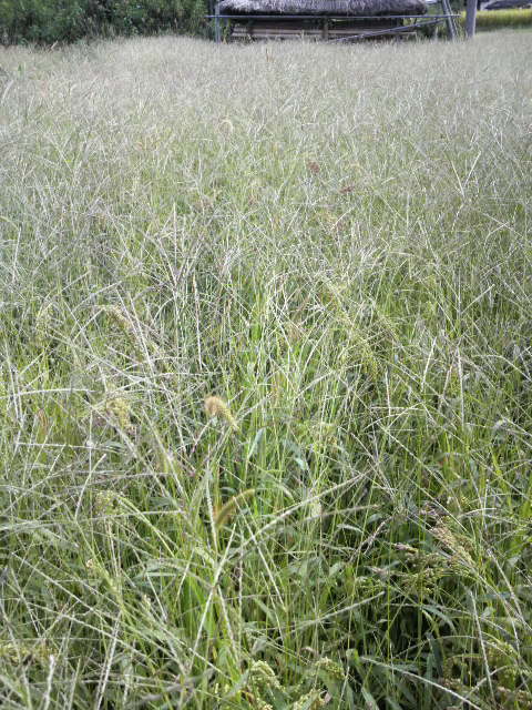 �q�}����