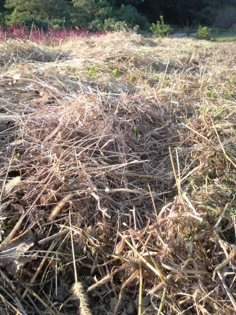 �đ���������������