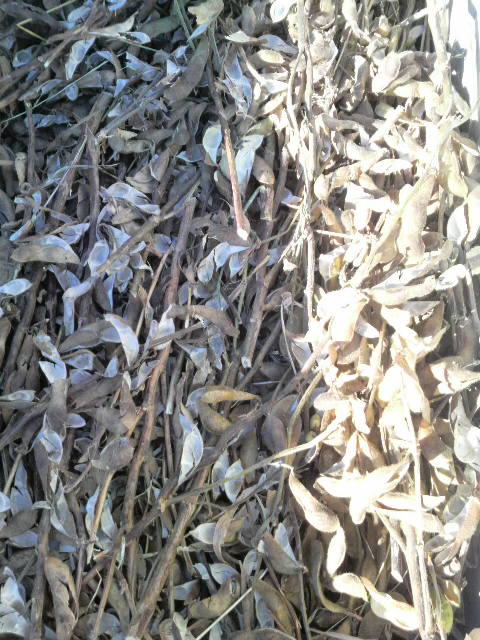 �����œ���