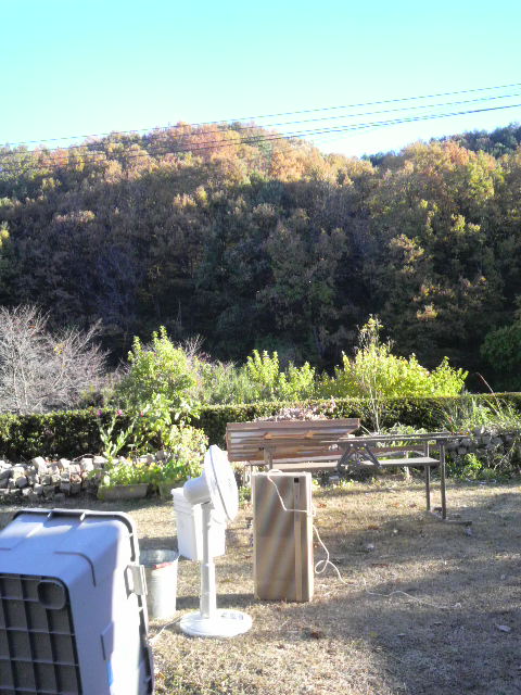 ���������ς��