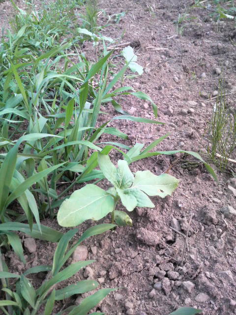 �q�}����