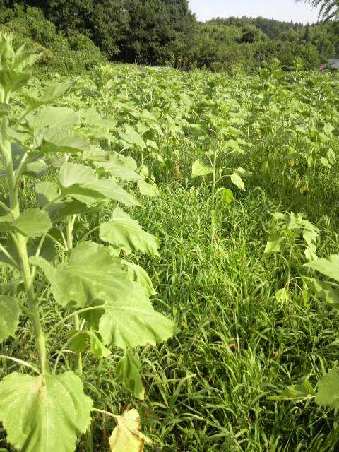 �q�}����