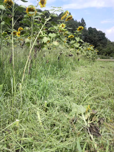 �q�}������