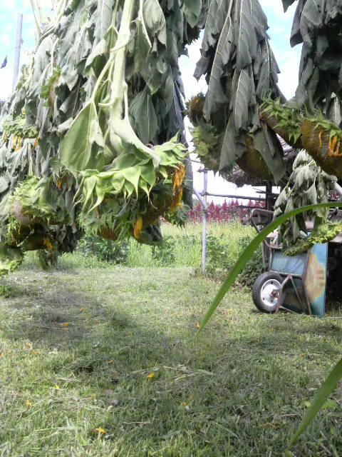 �q�}�������n�T�|��