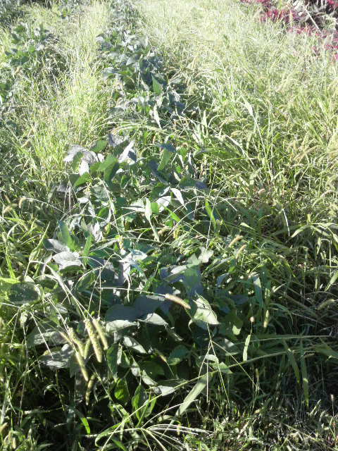 �A����哤��L�r