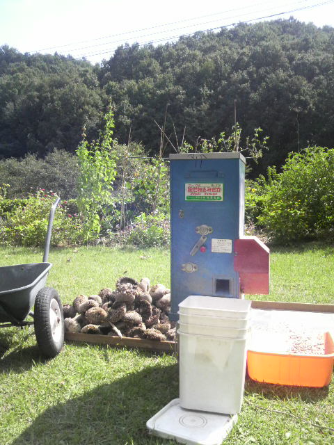 ���s�J�őI��