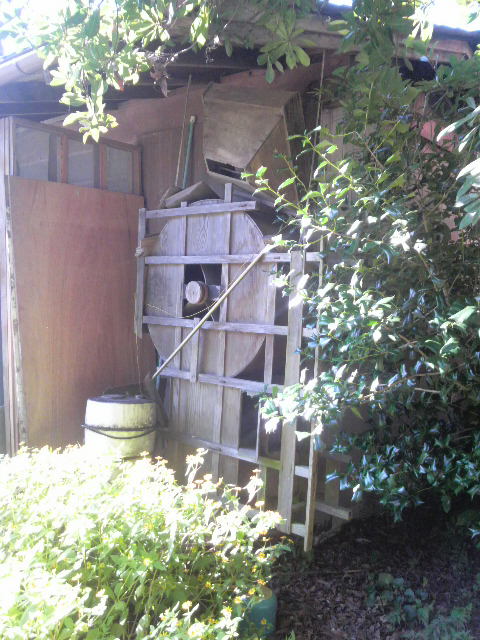 �����ɒ݂邵������