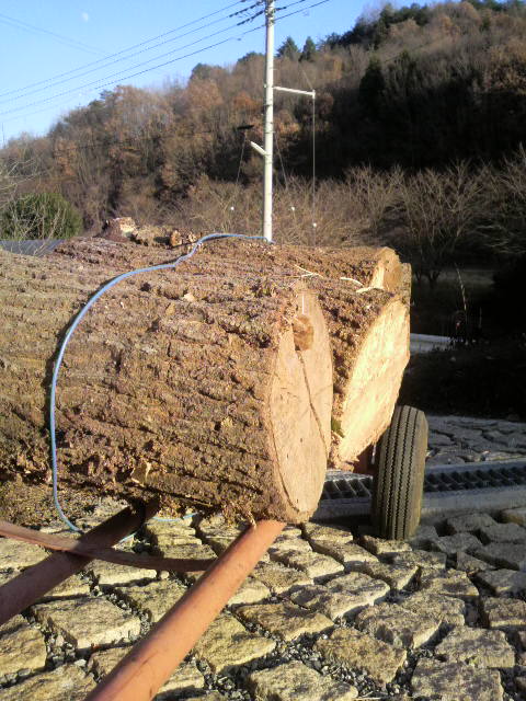 ���A�J�[�ł��������^��