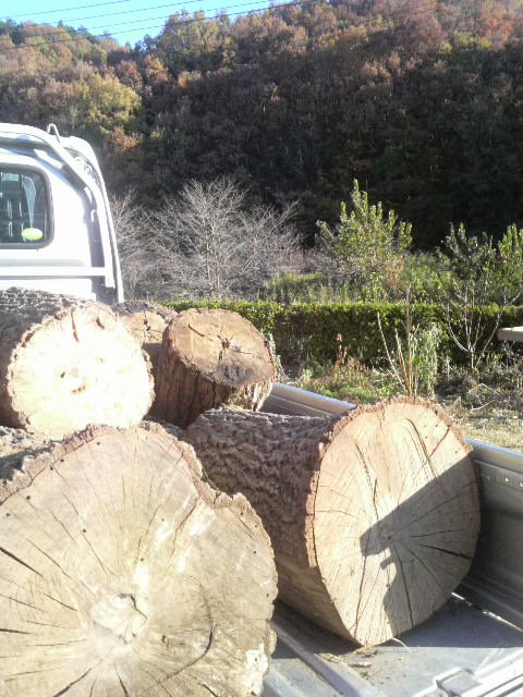 �y�g�����o���