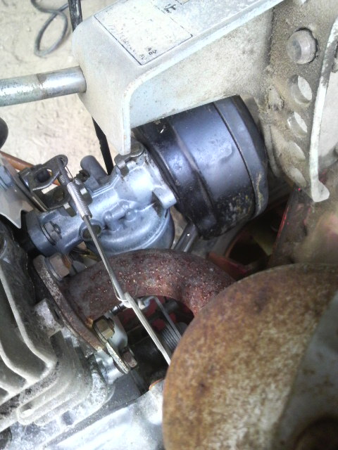 �A�N�Z����