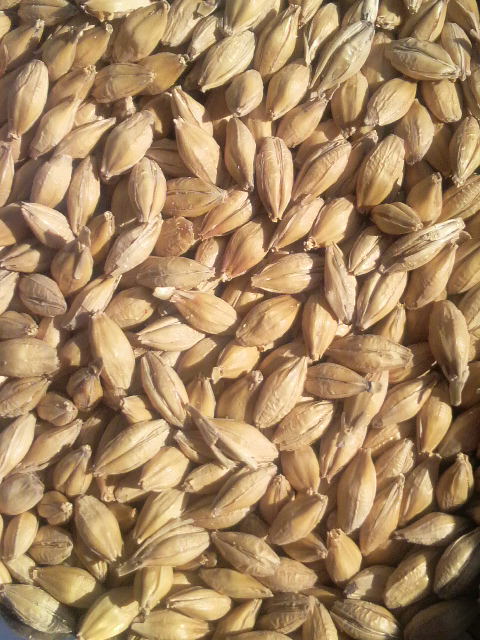 �G�[������