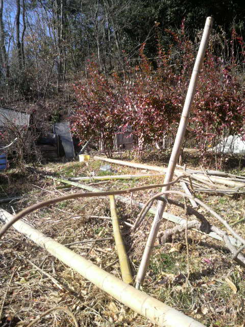 �ݒu����ꏊ