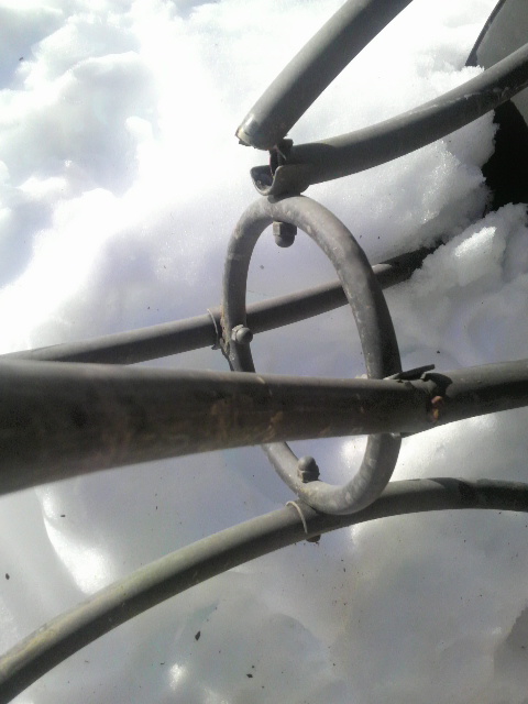 �܂ꂽ�Δ��芣����̋r