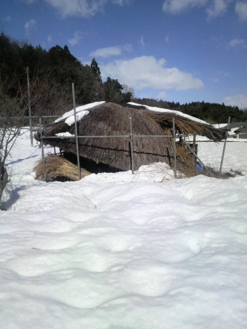 �X������������