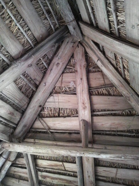 �������肵�Ă��鐼��