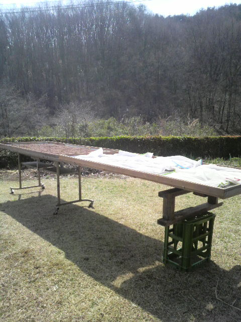 �l�b�g�̂܂�