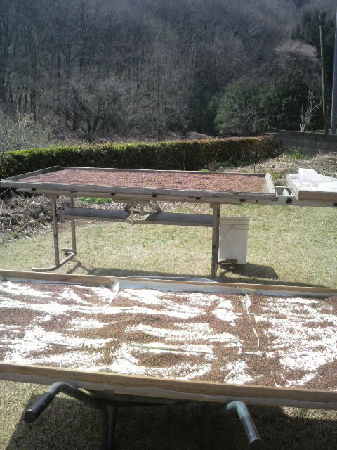 ���̏�ɍL����