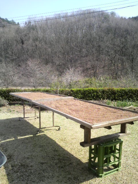 �ׂ����Ԃɑւ���