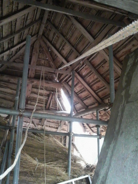 ���ꗎ�������ʂ�����������