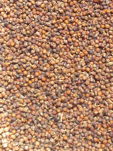 �ł����������B��