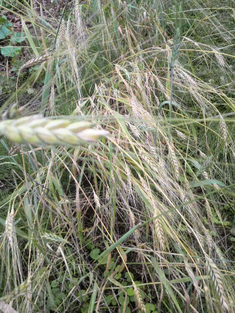 �|��������s