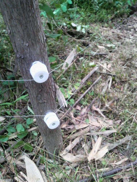 �y�b�g�{�g���̃t�^���ė��p�����K�C�V