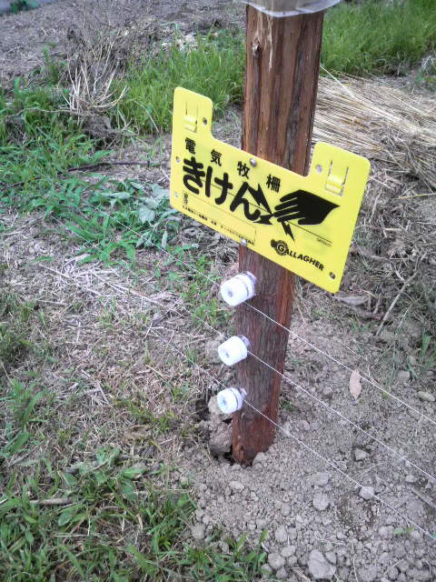 ������\��