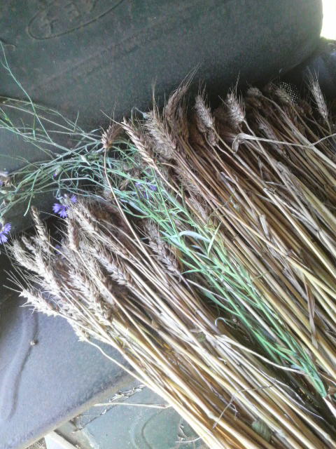 �E���@�ɕ��������