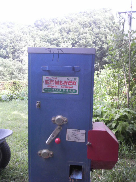 �I�ʒ��̖��s�J