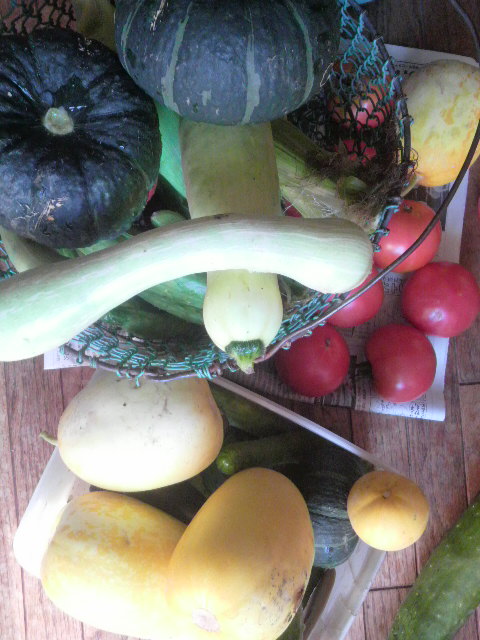 �������l�̖��