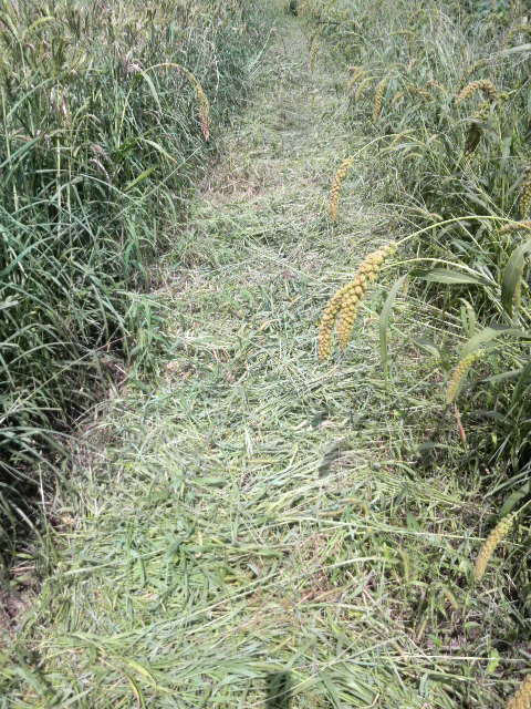 �������V�R�N�r�G���A�E�����A����