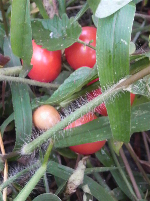 �~�j�g�}�g