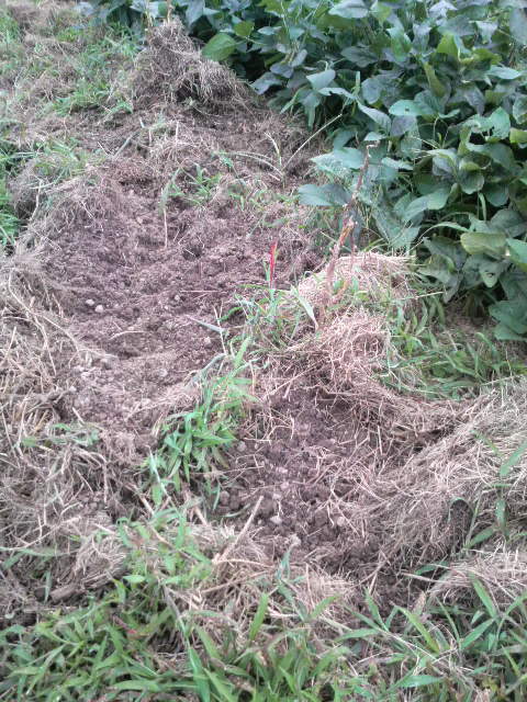 �I�N����