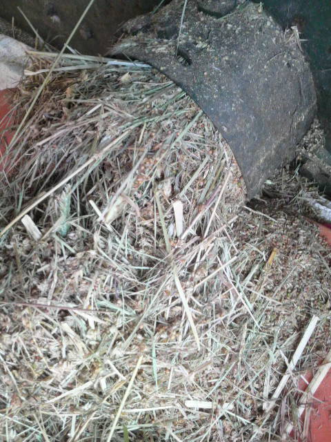 �V�R�N�r�G