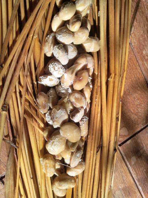 ���M����